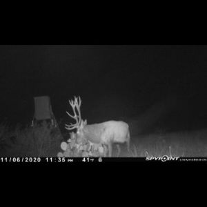 Meet your Posher, Jeffrey